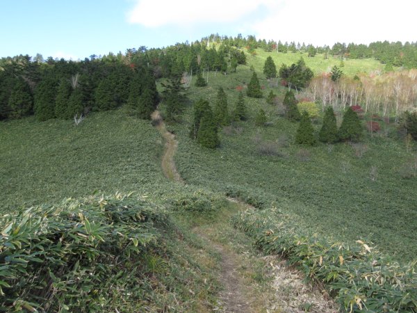 登山道